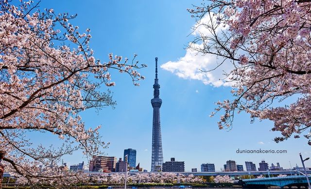 Jalan-jalan-ke-Tokyo-Skytree